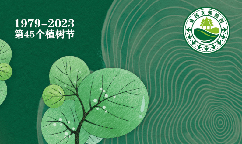 全國森林可持續經營試點工作啟動